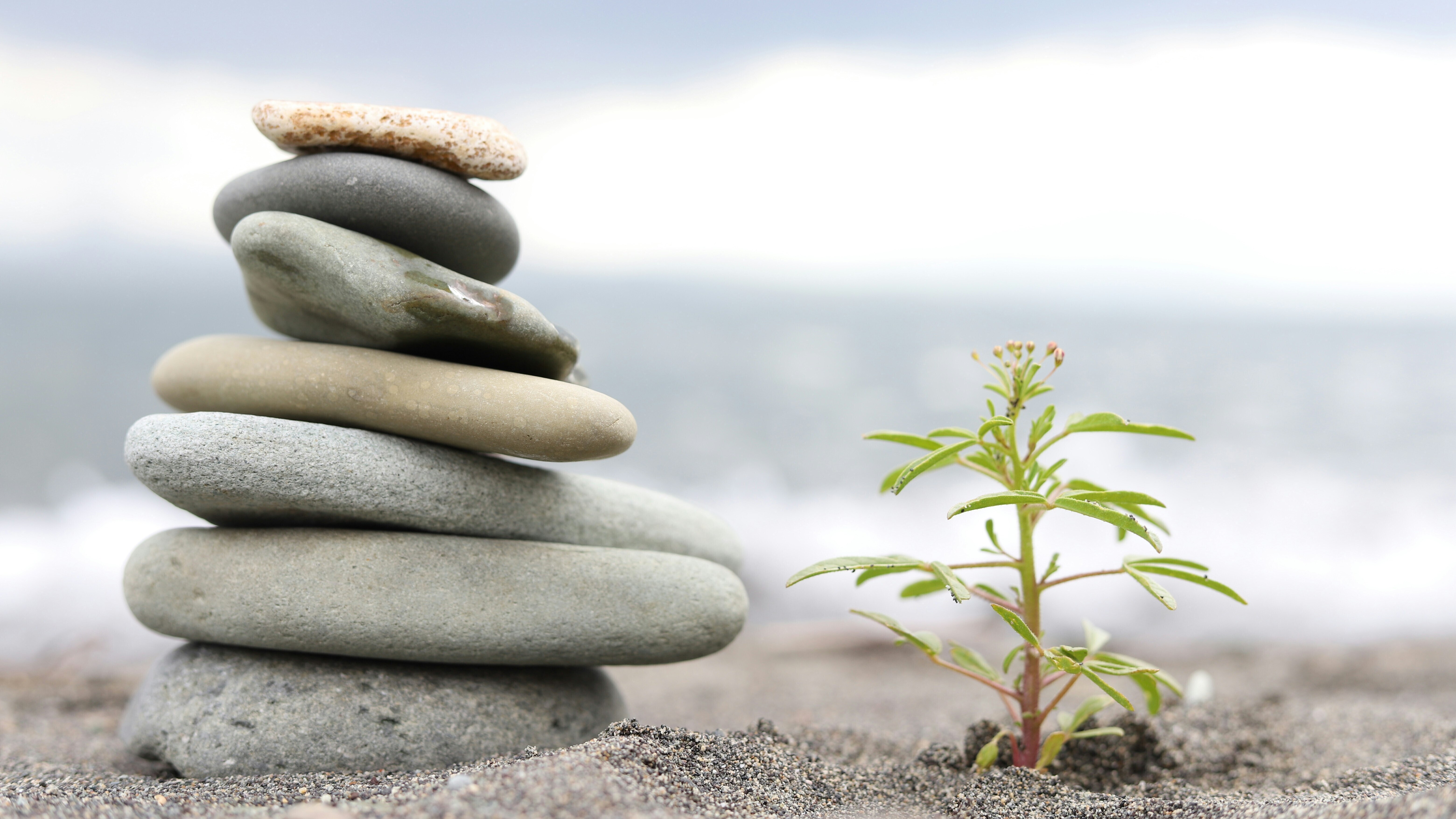 Cultivating Growth Mindset and Emotional Intelligence for Long-Term Career Growth