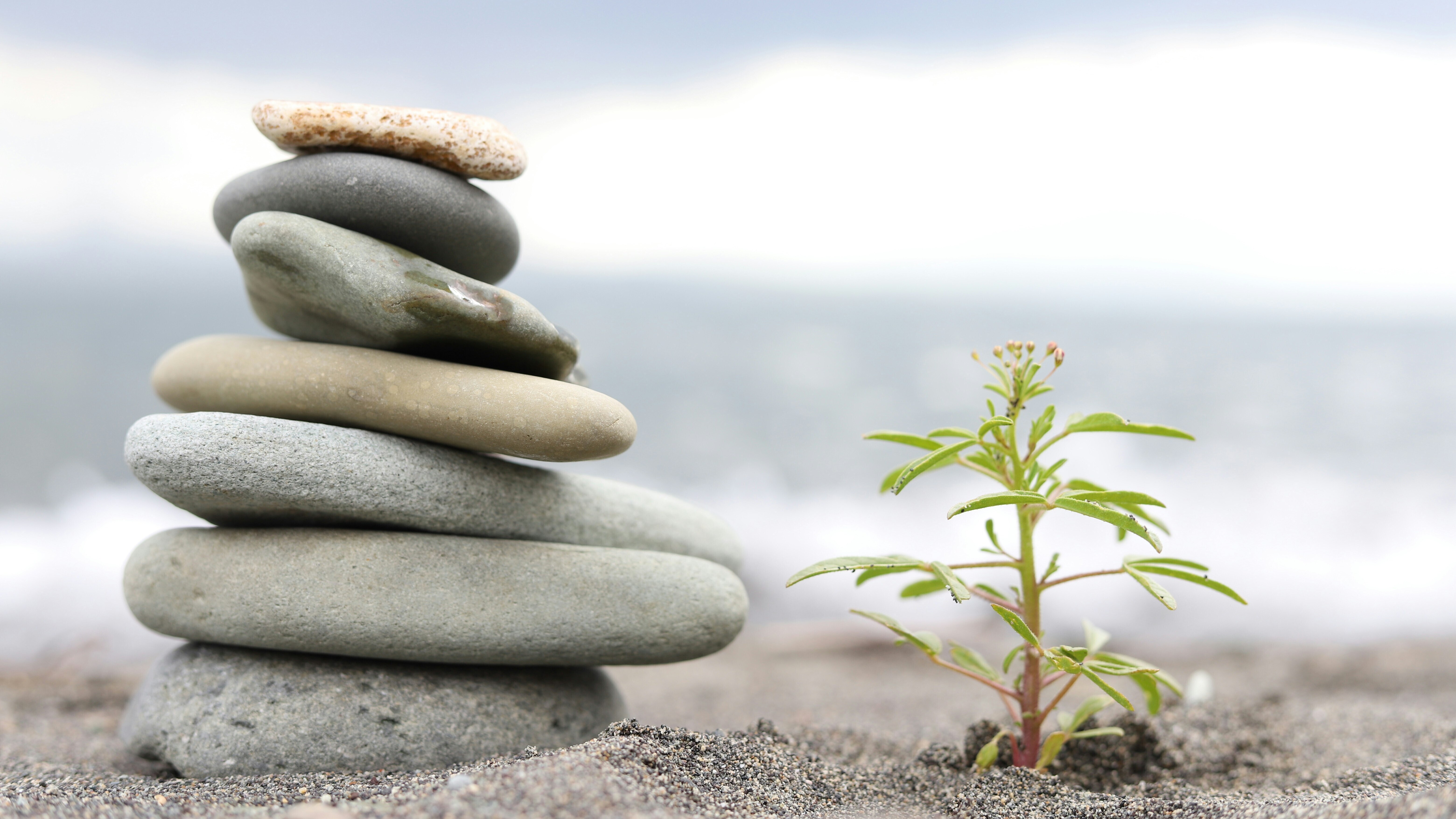 Cultivating Growth Mindset and Emotional Intelligence for Long-Term Career Growth