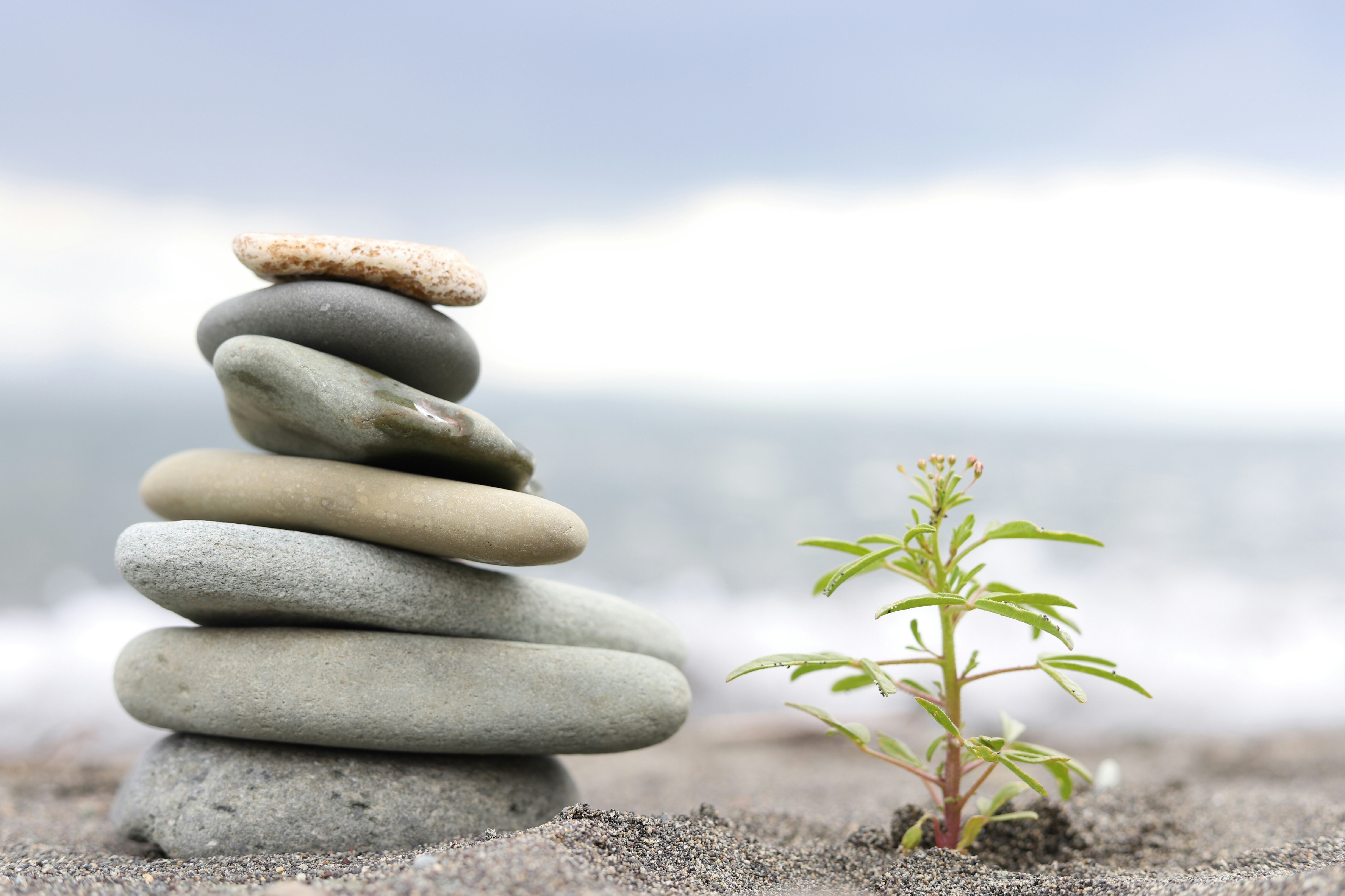 Cultivating Growth Mindset and Emotional Intelligence for Long-Term Career Growth