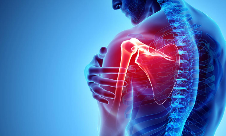 Upper Limb Mobilisation and Manipulation Sydney (Sept 2026)