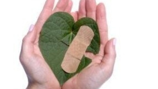 Trauma and Addictive Disorders