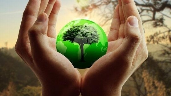 The Future of Psychedelics: Beyond Psychiatry